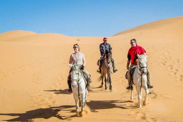 wilderness of the Sahara Desert