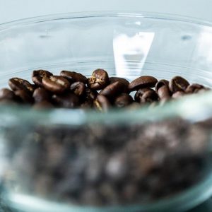 Harvesting Organic Coffee