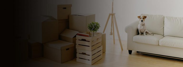 inner west removals