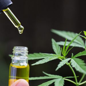 Knowing about cbd oils