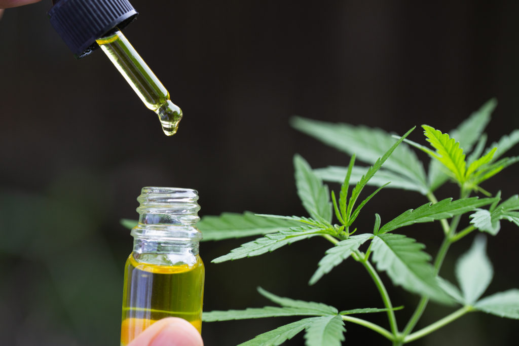 Knowing about cbd oils
