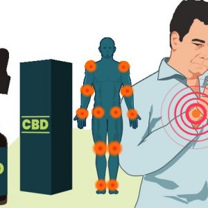 Best time of day to take cbd oil