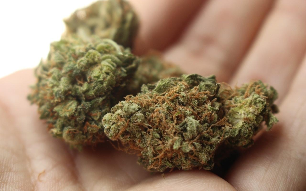 hash delivery toronto