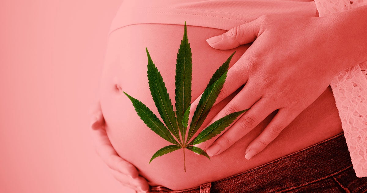 Do We Need a Reliable Store to Procure the Weed?